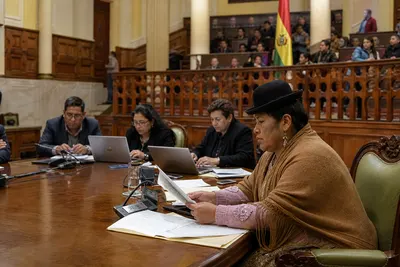 Bolivia aprueba en Senado la ley de acceso a la información